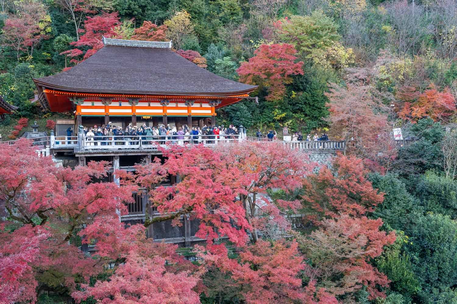 Crowded terrace at Kiyomizu-dera viewpoint in autumn, Kyoto, Japan