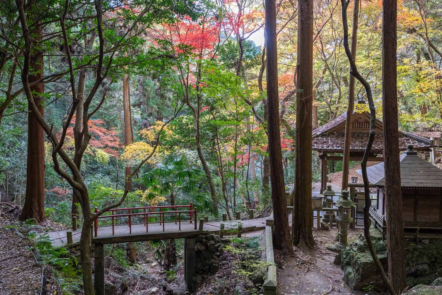 Walkway to Okunoin shrine at Nanzenji in autumn, Kyoto, Japan