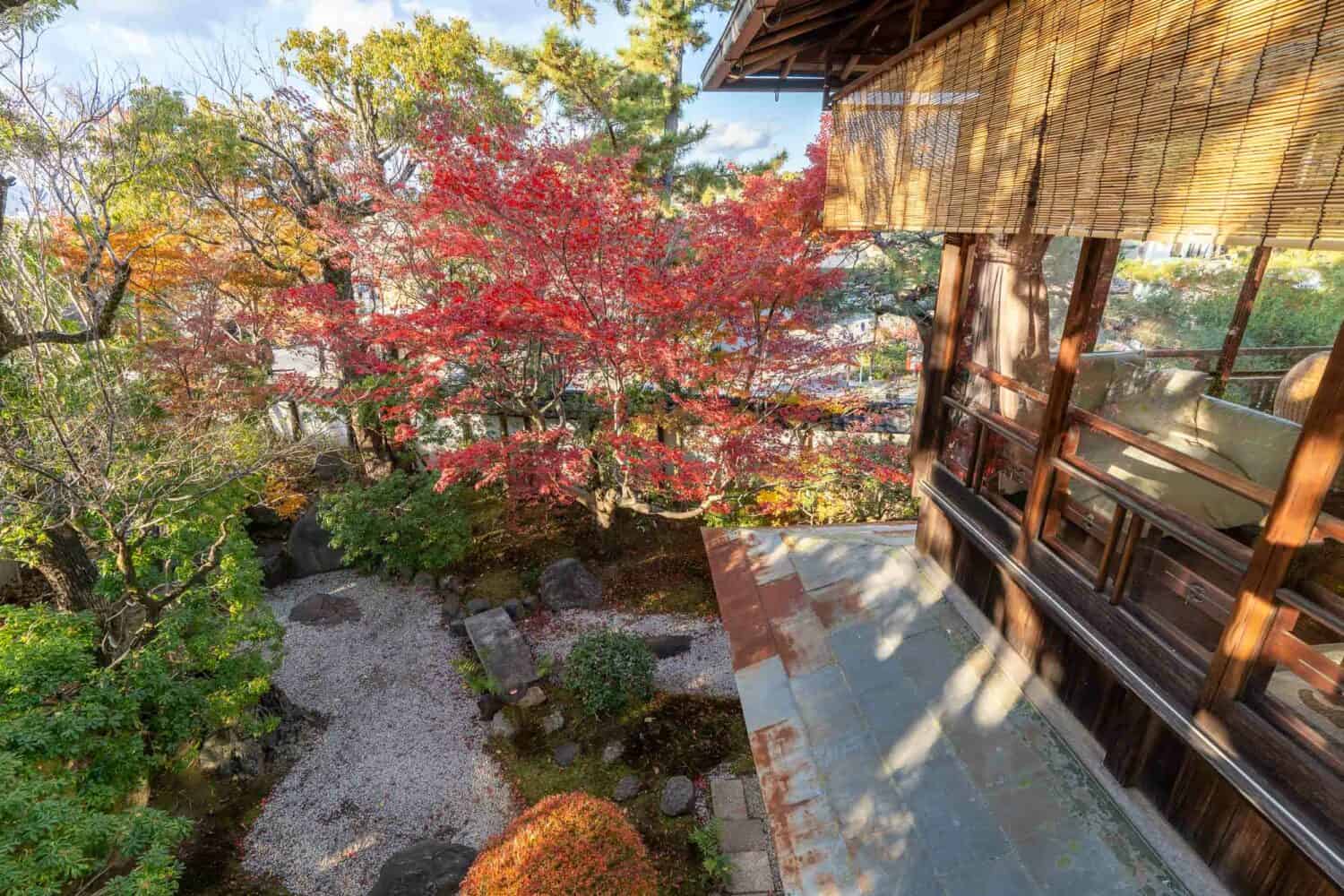 View from 2nd floor Suite at Ryokan Yachiyo, Kyoto, Japan