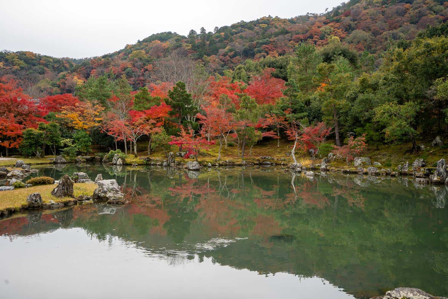 Autumn trees at Tenryuji Temple, Kyoto, Japan