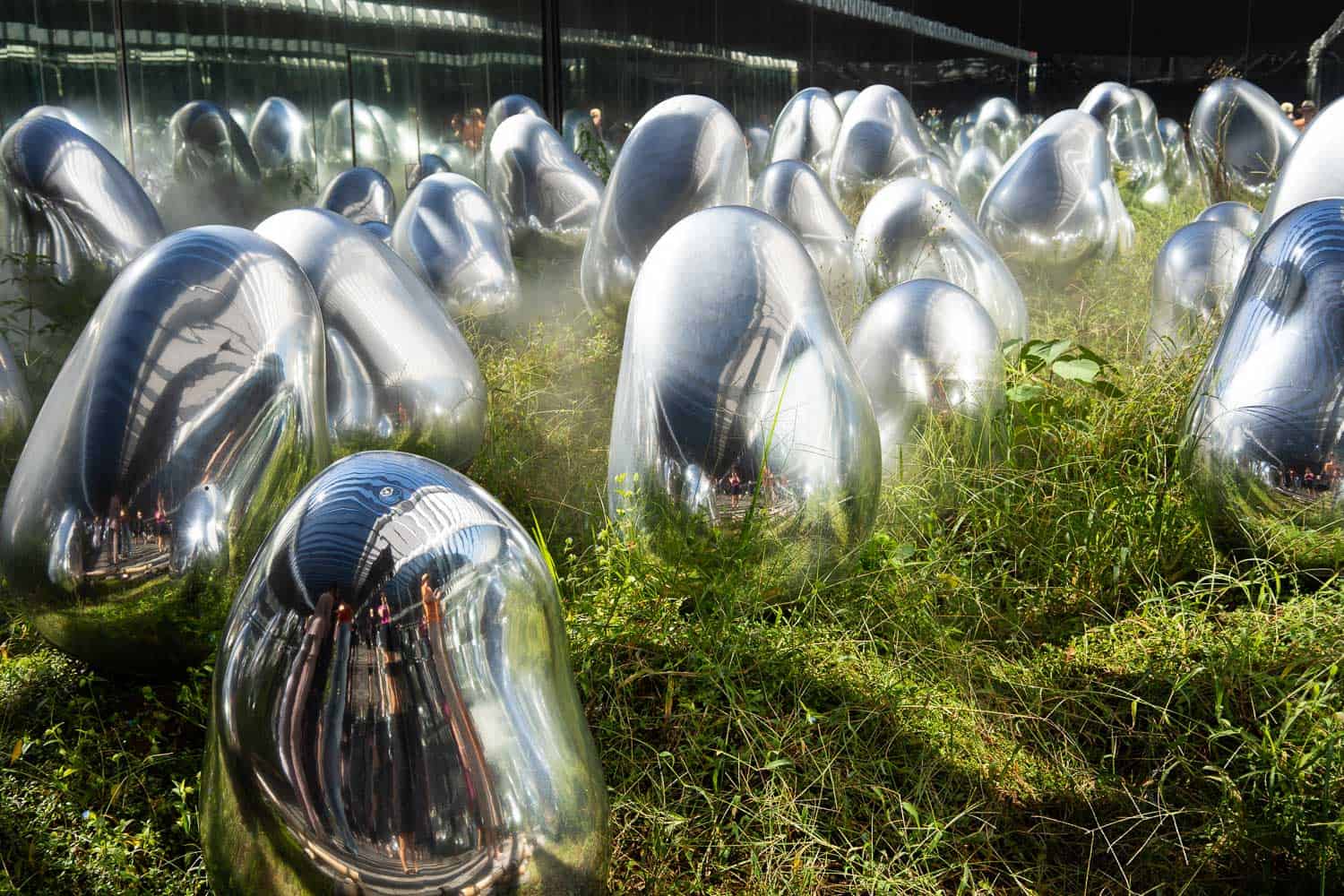 Moss Garden of Resonating Microcosms at TeamLab Planets Tokyo