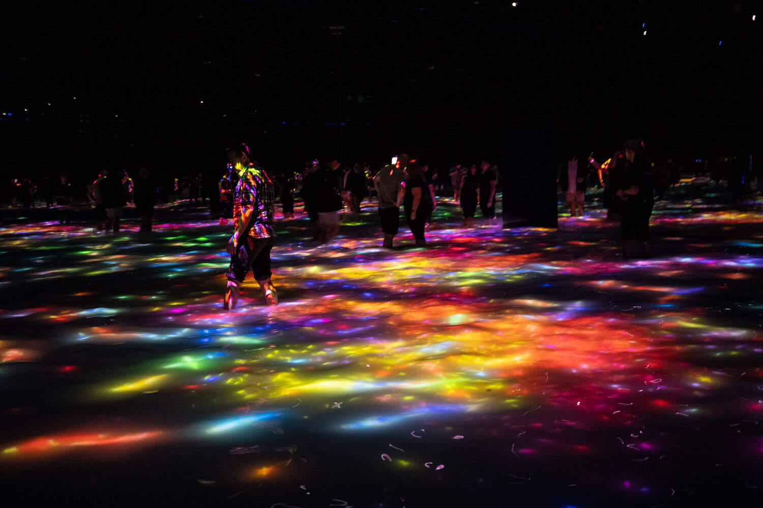 Koi Pond at TeamLab Planets Tokyo