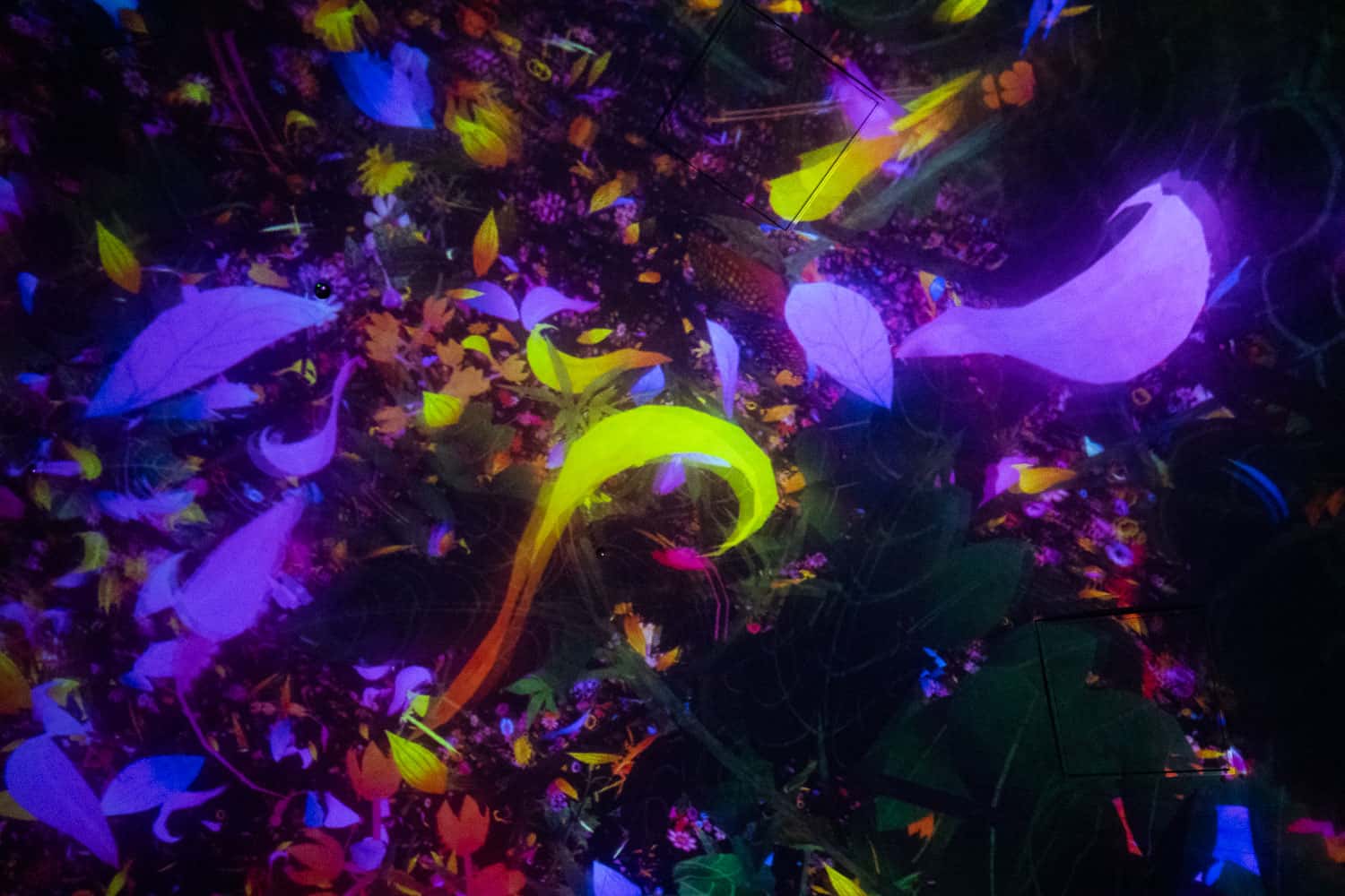 Floating in the Falling Universe of Flowers at TeamLab Planets Tokyo