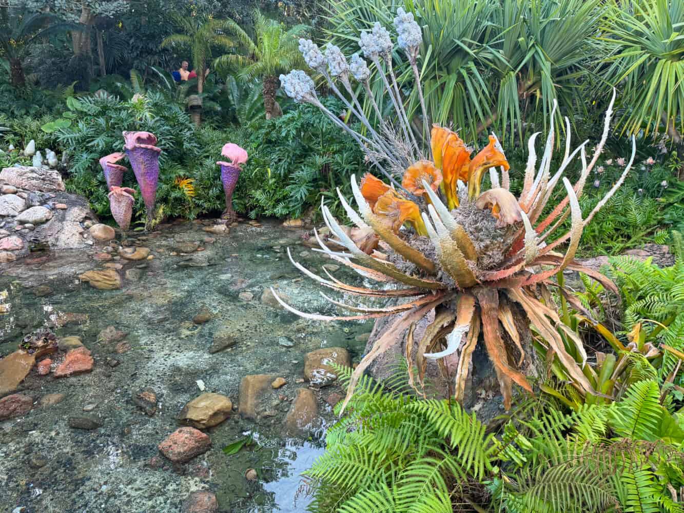 Plants and pond in Pandora world at Animal Kingdom, Disney World