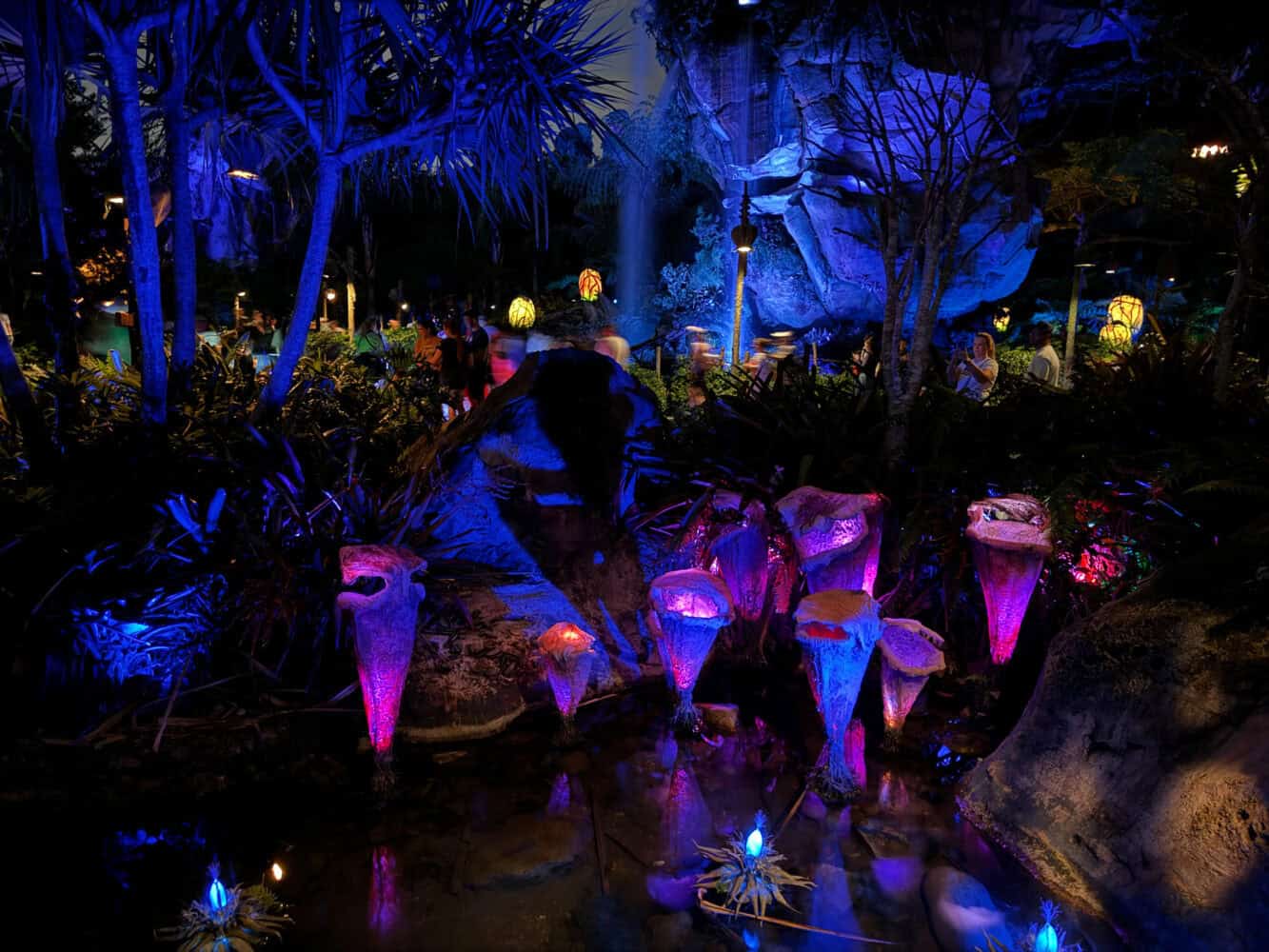 Pandora world lit up at night at Animal Kingdom, Disney World