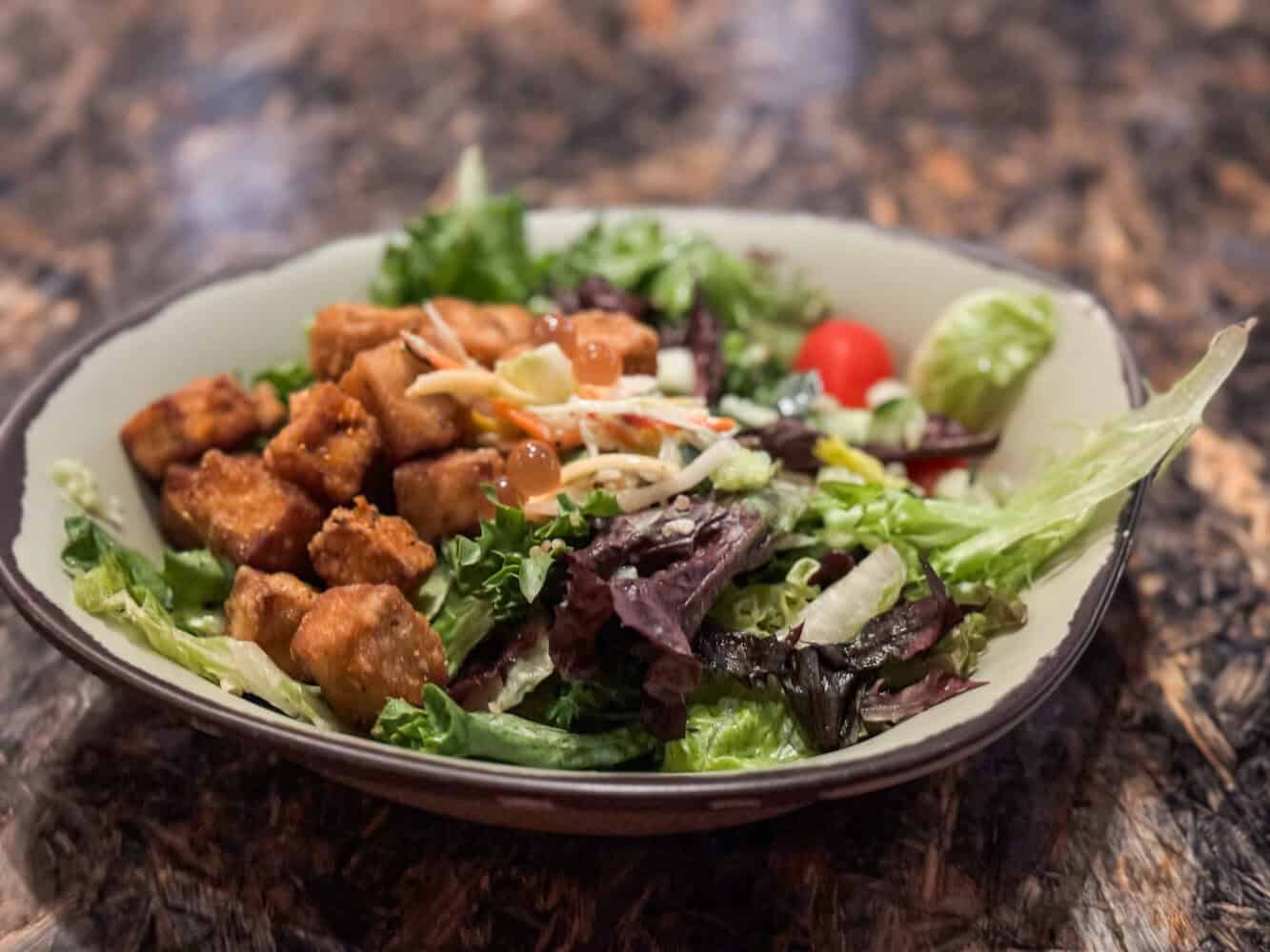 Vegan crispy fried tofu bowl with hearty salad at Satuli Canteen in Animal Kingdom 