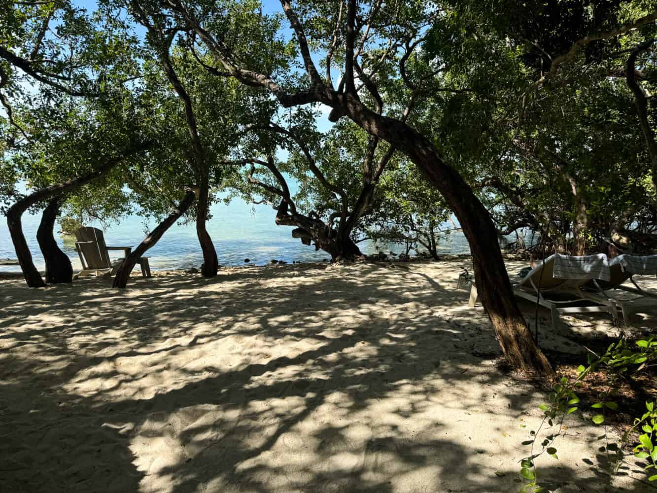 Hammock Beach at Baker's Cay Resort Key Largo