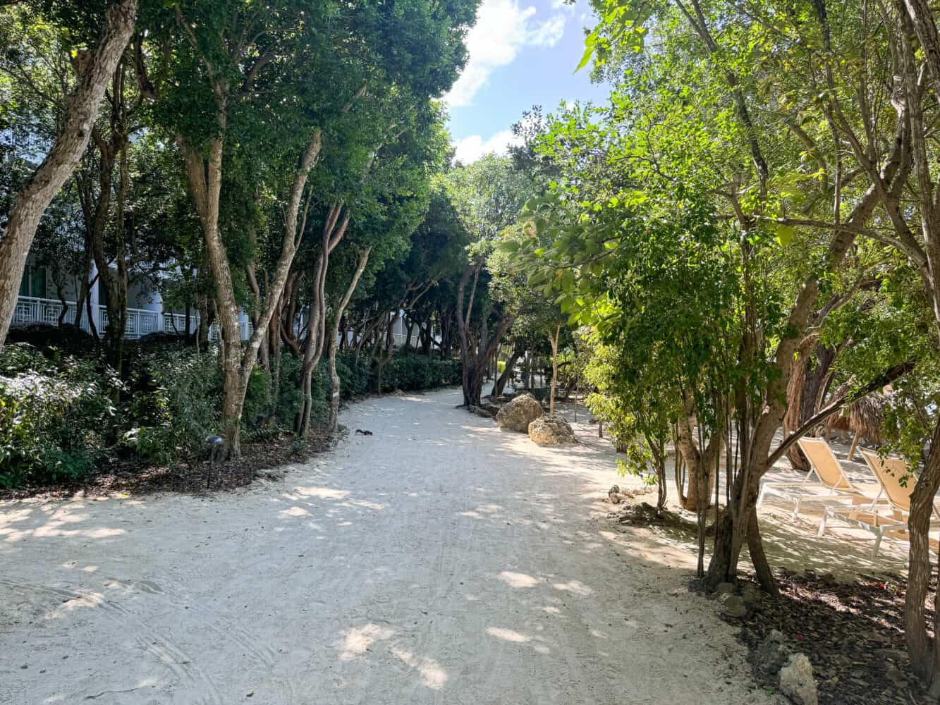 The sandy path between the Hammock Wing at Hammock Beach at Bakers Cay Resort Key Largo