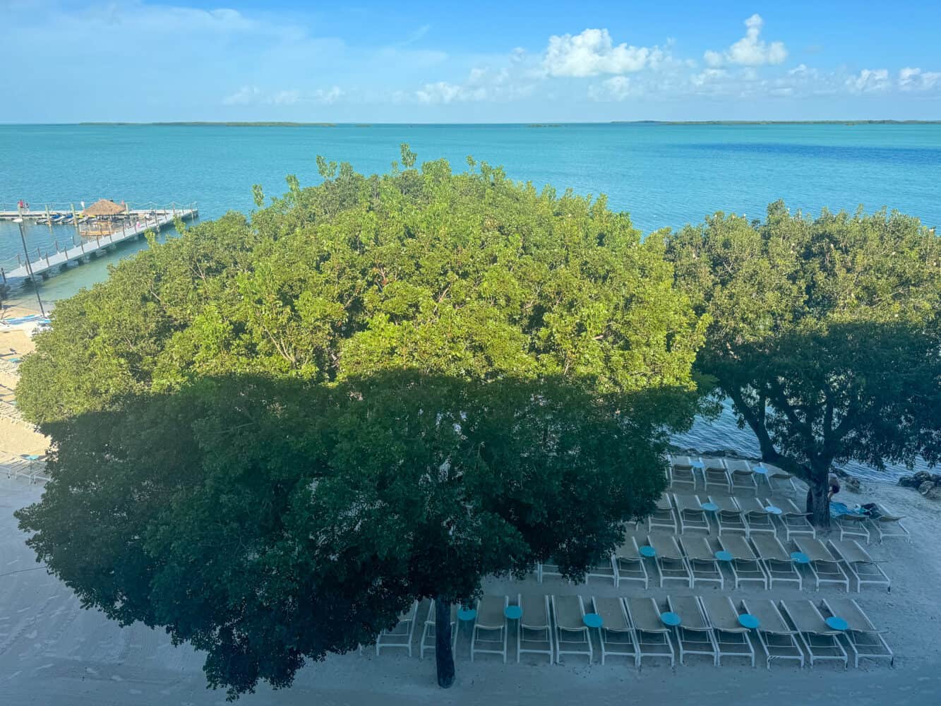 View from King waterfront Coconut Wing 4th floor room at Baker's Cay Key Largo resort