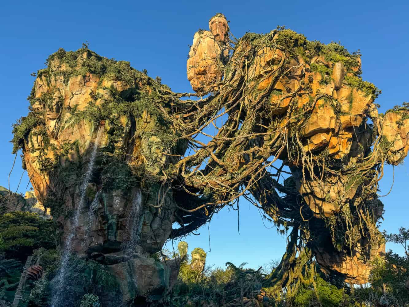 Early morning light at Pandora, Animal Kingdom, Disney World, Orlando