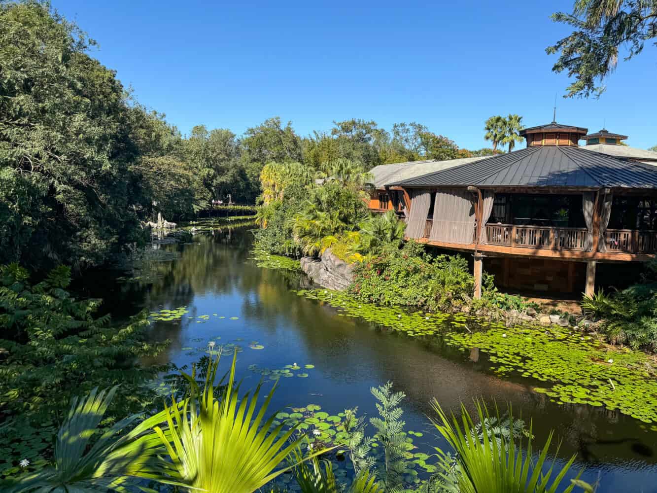 Outside Nomad Lounge, Animal Kingdom, Disney World, Orlando