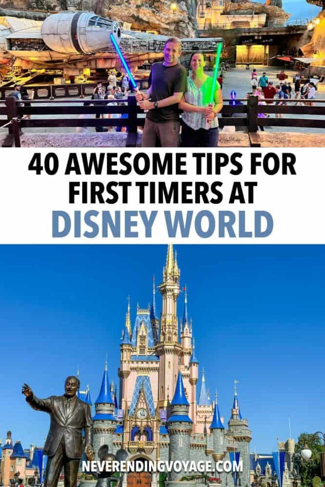 Disney World Tips Travel Guide pinterest pin