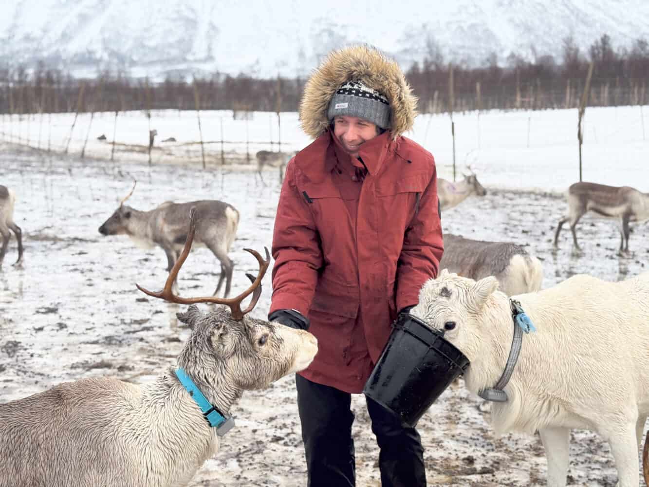 Simon feeding reindeers in Tromso, Norway