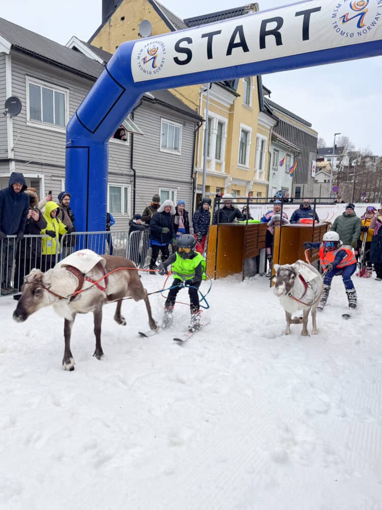 Reindeer racing during Sami Week, Tromso, Norway