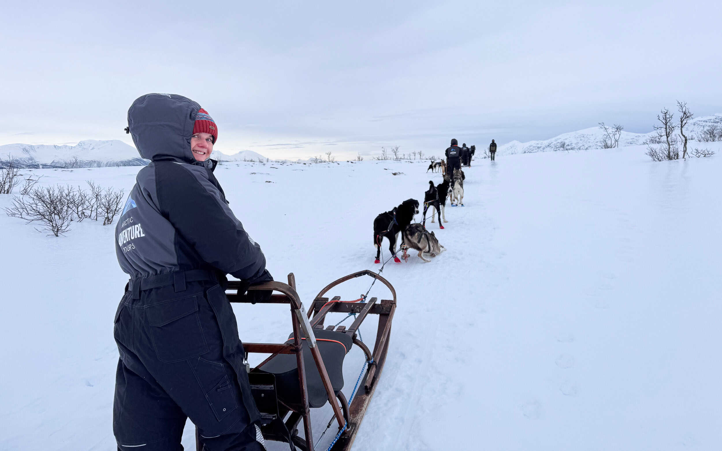 Husky sledding in snow near Tromso in February