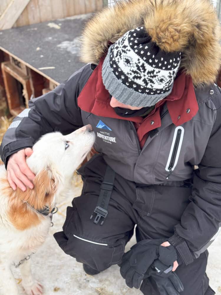 Simon meeting Alaskan husky dogs near Tromso